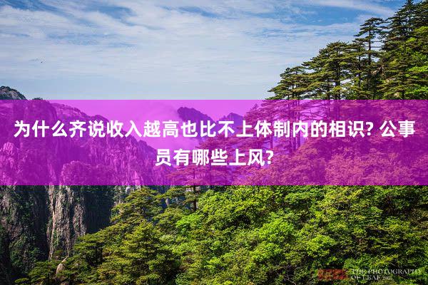 为什么齐说收入越高也比不上体制内的相识? 公事员有哪些上风?