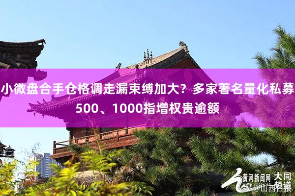 小微盘合手仓格调走漏束缚加大？多家著名量化私募500、1000指增权贵逾额