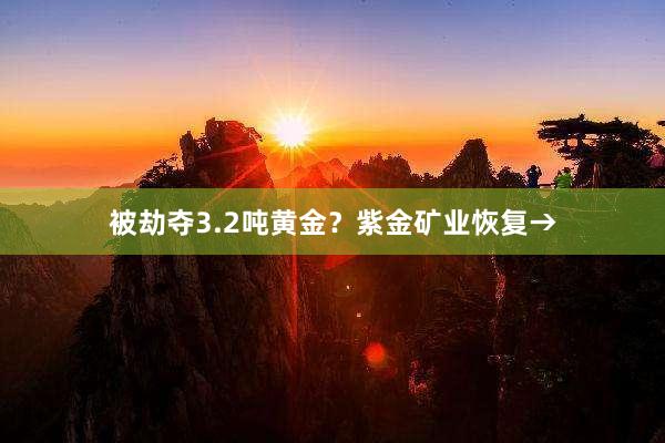 被劫夺3.2吨黄金？紫金矿业恢复→